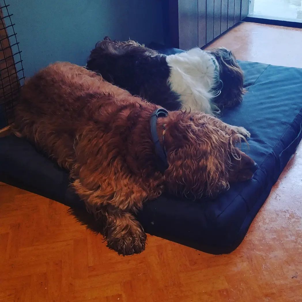 299989705_153438654013853_2846090979438753106_n